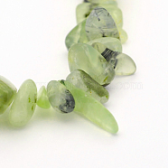 Natural Prehnite Bead Strands, Chips, 10~26x3~10x2~10mm, Hole: 1mm; about 15.7 inches(G-J279-01)
