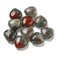 Natural African Bloodstone Beads, Half Drilled, Heart, 15.5x15.5x8mm, Hole: 1mm(G-P531-A21-01)