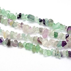 Natural Fluorite Beads Strands, Chips, 5~8x5~8mm, Hole: 1mm, about 31.5 inch(X-G-O049-B-16)