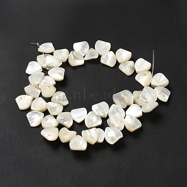 Natural White Shell Beads Strands(SHEL-G014-15)-3