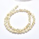 Shell Bead Strands(SSHEL-P015-01B-6mm)-2