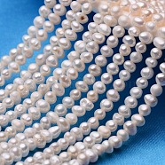 Potato Natural Cultured Freshwater Pearl Beads Strands, Creamy White, 3~4mm, Hole: 0.8mm, about 100pcs/strand, 13.3 inch~14.1 inch(PEAR-E007-3-4mm-AA)
