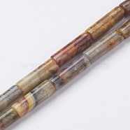 Natural Crazy Agate Bead Strands, Tube, 13~14x3.5~5mm, Hole: 1mm, about 29pcs/strand, 15.1~15.7 inch(385~400mm)(X-G-G968-F11)