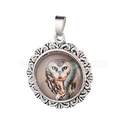 Tibetan Style Alloy Pendants, with Glass Cabochons, Flat Round with Owl, Antique Silver, Light Grey, 32.5x28.5x6mm, Hole: 4x6mm(PALLOY-I144-01AS)