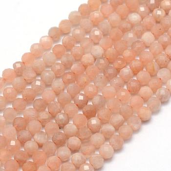 Natural Sunstone Beads Strands, Faceted, Round, 3mm, Hole: 0.5mm, about 113pcs/strand, 15.35 inch(39cm)