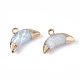 Electroplate Natural Amazonite Charms(G-S344-48K)-2