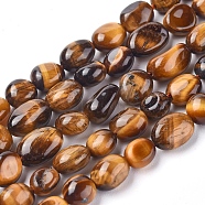 Natural Tiger Eye Beads Strands, Tumbled Stone, Nuggets, 5.5~10.5x5.5~7x2.5~6.5mm, Hole: 0.8mm, about 54pcs/strand, 15.94 inch(40.5cm)(G-L478-45B)