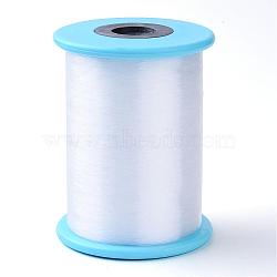 Fishing Thread Nylon Wire, White, 0.6mm, about 492.12 yards(450m)/roll(NWIR-R038-0.6mm-02)