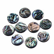 Natural Abalone Shell/Paua Shell Beads, Flat Round, Colorful, 20.5x3.5mm, Hole: 1mm(SSHEL-T014-14E)