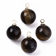 Natural Tiger Eye Charms, with Golden Plated Brass Loops, Round, 14x10.5mm, Hole: 1.5mm(X-G-N332-024G-07)