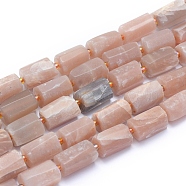 Frosted Natural Sunstone Beads Strands, Faceted, Column, 14~15x7~9mm, Hole: 1mm, about 24pcs/strand, 15.75 inch(40cm)(G-L552B-05)