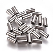 304 Stainless Steel Tube Beads, Stainless Steel Color, 6x3mm, Hole: 2mm(STAS-F224-01P-B)