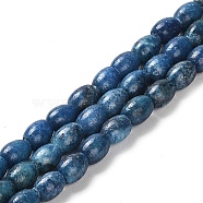 Natural Dolomite Beads Strands, Dyed, Rice, Steel Blue, 5.5~6x4.5mm, Hole: 1mm, about 68~69pcs/strand, 15.94~16.22 inch(40.5~41.2cm)(G-F765-A03-01)