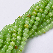 Natural Flower Jade Beads Strands, Dyed, Round, 8mm(GSR8mmC193)