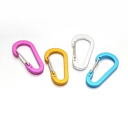 Aluminum Rock Climbing Carabiners, Key Clasps, with Iron Findings, Mixed Color, 60.5x30.5x9mm(KEYC-O009-04)