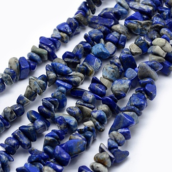 Natural Lapis Lazuli Beads Strands, Chip, 5~8mm, Hole: 1mm, about 33 inch(84cm)
