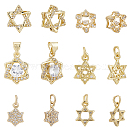 12Pcs 6 Styles Brass Micro Pave Cubic Zirconia Pendants, Cadmium Free & Lead Free, Long-Lasting Plated, Star of David, Real 18K Gold Plated, 11~15.5x8~13x2~6mm, Hole: 2.4~5mm, 2pcs/style(KK-HY0004-49)