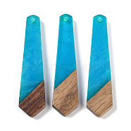 Resin & Wood Pendants, Tie Shaped Charms, Dodger Blue, 49x12x3.5mm, Hole: 2mm(WOOD-F015-05G)