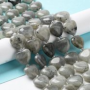 Natural Labradorite Beads Strands, with Seed Beads, Heart, 14~15x15x6~6.5mm, Hole: 1.4mm, about 23~24pcs/strand, 14.57''(37cm)(G-E614-A11-01)
