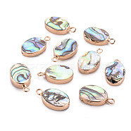 Electroplated Natural Abalone Shell/Paua Pendants, with Golden Iron Edge and Half Drilled, Oval, 18.5x10.5x3.5mm, Hole: 1.8mm, Half Drilled: 1mm(SSHEL-T014-22)