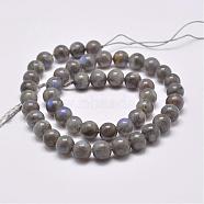 Natural Labradorite Beads Strands, Round, 6mm, Hole: 1mm, about 65pcs/strand, 15.2 inch(38.5cm)(G-D864-11-6mm)