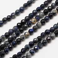 Natural Gemstone Sodalite Faceted Round Beads Strands, 2mm, Hole: 0.8mm, about 190pcs/strand, 16 inch(G-A129-2mm-24)