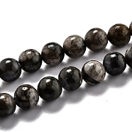 Natural Llanite Beads Strands, Round, 6.5mm, Hole: 1.2mm, about 61pcs/strand, 15.28''(38.8cm)(G-O199-01B)