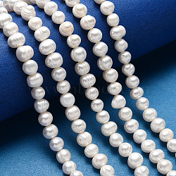 Grade A Natural Cultured Freshwater Pearl Beads Strands, Polished, Potato, Natural Color, White, about 7~8mm in diameter, hole: 0.8mm, 14.1 inch/strand, about 55pcs/strand(X-SPPA004Y-1)