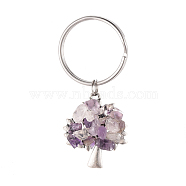 Chip Natural Amethyst Keychain, with Antique Silver Plated Alloy Pendants and 316 Surgical Stainless Steel Split Key Rings, Tree, 55mm(KEYC-JKC00219-04)