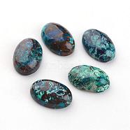 Natural Chrysocolla Cabochons, Oval, 12x8x4mm(G-D804-01)