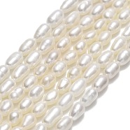 Natural Cultured Freshwater Pearl Beads Strands, Rice, Linen, 4~4.5x3~3.5mm, Hole: 0.5mm, about 63pcs/strand, 14.17''(36cm)(PEAR-J006-03E)