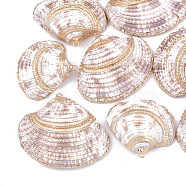 Electroplate Sea Shell Pendants, with Iron Findings, Light Gold, Seashell Color, 29~41x34~48x7~11mm, Hole: 2mm(X-SSHEL-S262-28)