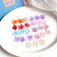 Opaque Acrylic Beads, Frosted Gradient, Flower, Mixed Color, 22x22x5mm, Hole: 1.3mm, about 1190pcs/500g(OACR-K008-16)