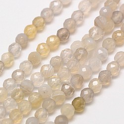 Natural Botswana Agate Beads Strands, Faceted Round, 3mm, Hole: 0.8mm, about 121pcs/strand, 15 inch(X-G-A129-3mm-18)