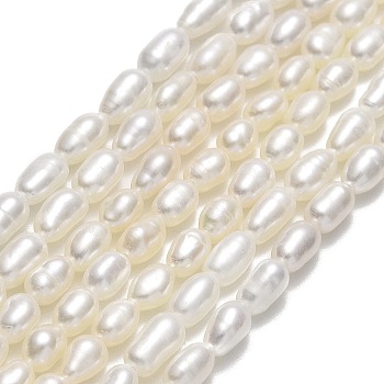 Natural Cultured Freshwater Pearl Beads Strands, Rice, Linen, 4~4.5x3~3.5mm, Hole: 0.5mm, about 63pcs/strand, 14.17''(36cm)