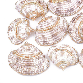 Electroplate Sea Shell Pendants, with Iron Findings, Light Gold, Seashell Color, 29~41x34~48x7~11mm, Hole: 2mm