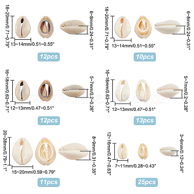 6 Styles Natural Mixed Cowrie Shell Beads(BSHE-HY0001-01)-2