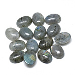 Natural Labradorite Cabochons, Oval, 16x12x5~6mm(G-T073-20-12x16)