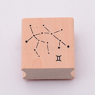 Wooden Stamps, with Rubber, Square with Twelve Constellations, Gemini, 30x30x24mm(DIY-WH0175-46C)