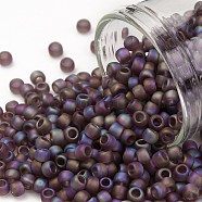 TOHO Round Seed Beads, Japanese Seed Beads, (166BF) Transparent AB Frost Medium Amethyst, 8/0, 3mm, Hole: 1mm, about 222pcs/10g(X-SEED-TR08-0166BF)