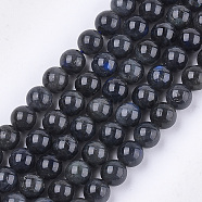 Natural Black Labradorite Beads Strands, Grade A, Round, 8mm, Hole: 1mm, about 45~48pcs/strand, 15.3 inch(G-S333-8mm-021A)