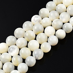 Natural White Shell Bead Strands, Round, 7.5~8mm, Hole: 0.9mm, about 49pcs/strand, 15.16 inch(38.5cm)(SSHEL-N003-144G-01)