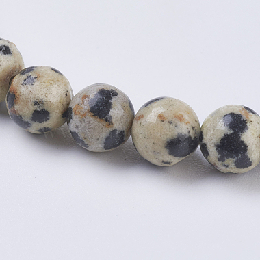 Natural Dalmation Jasper Beads Strands(G-G515-6mm-06)-3