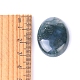 Natural Indian Agate Cabochons(PW-WG8E62B-01)-4