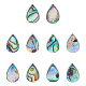10Pcs Abalone Shell/Paua Shell Beads(SSHEL-FI0001-01)-1