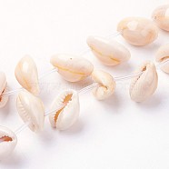 Natural Cowrie Shell Beads Strands, Bisque, 17~19x10~14x8~9mm, Hole: 1mm, about 26pcs/strand, 15.5 inch(39.5cm)(X-BSHE-L036-32E-03)