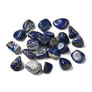 Natural Lapis Lazuli Beads, No Hole, Nuggets, Tumbled Stone, Vase Filler Gems, 15~25x17~25x12~16mm, about 123pcs/1000g(G-O029-08V)