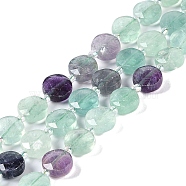 Natural Fluorite Beads Strands, with Seed Beads, Faceted Hexagonal Cut, Flat Round, 10~11x5~6mm, Hole: 1mm, about 30~31pcs/strand, 14.57~14.96 inch(37~38cm)(G-N342-04)