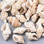 Natural Spiral Shell Beads, Undrilled/No Hole Beads, BurlyWood, 20~31x13~20x10~14mm(SSHEL-S258-75)