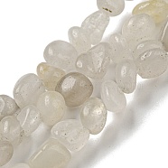 Natural White Jade Bead Strands, Tumbled Stone, Nuggets, 3~7.5x4.5~6x3~6mm, Hole: 1mm, about 61~66pcs/strand, 15.16''~15.35''(38.5~39cm)(G-F465-58)